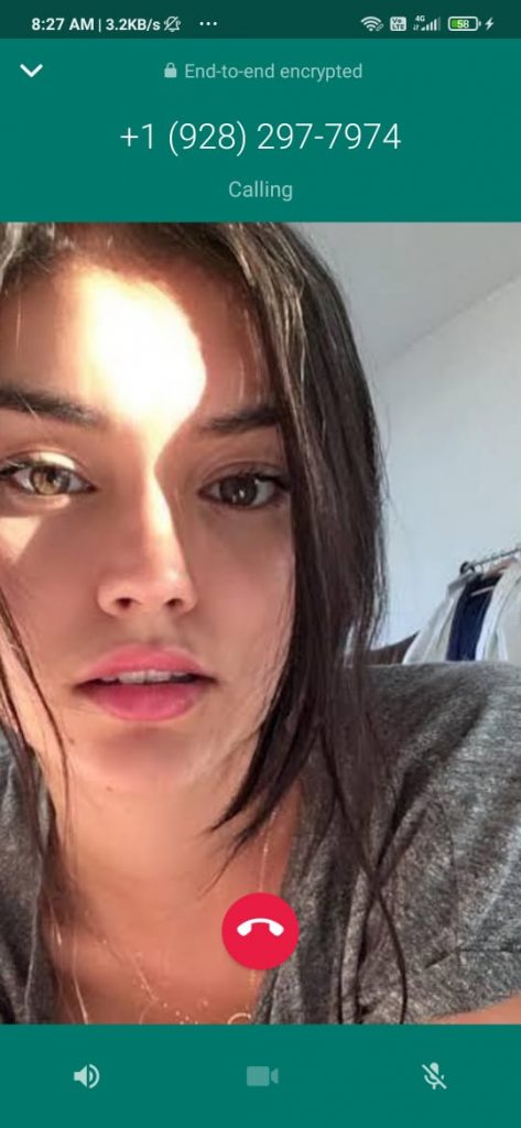 fake whatsapp number