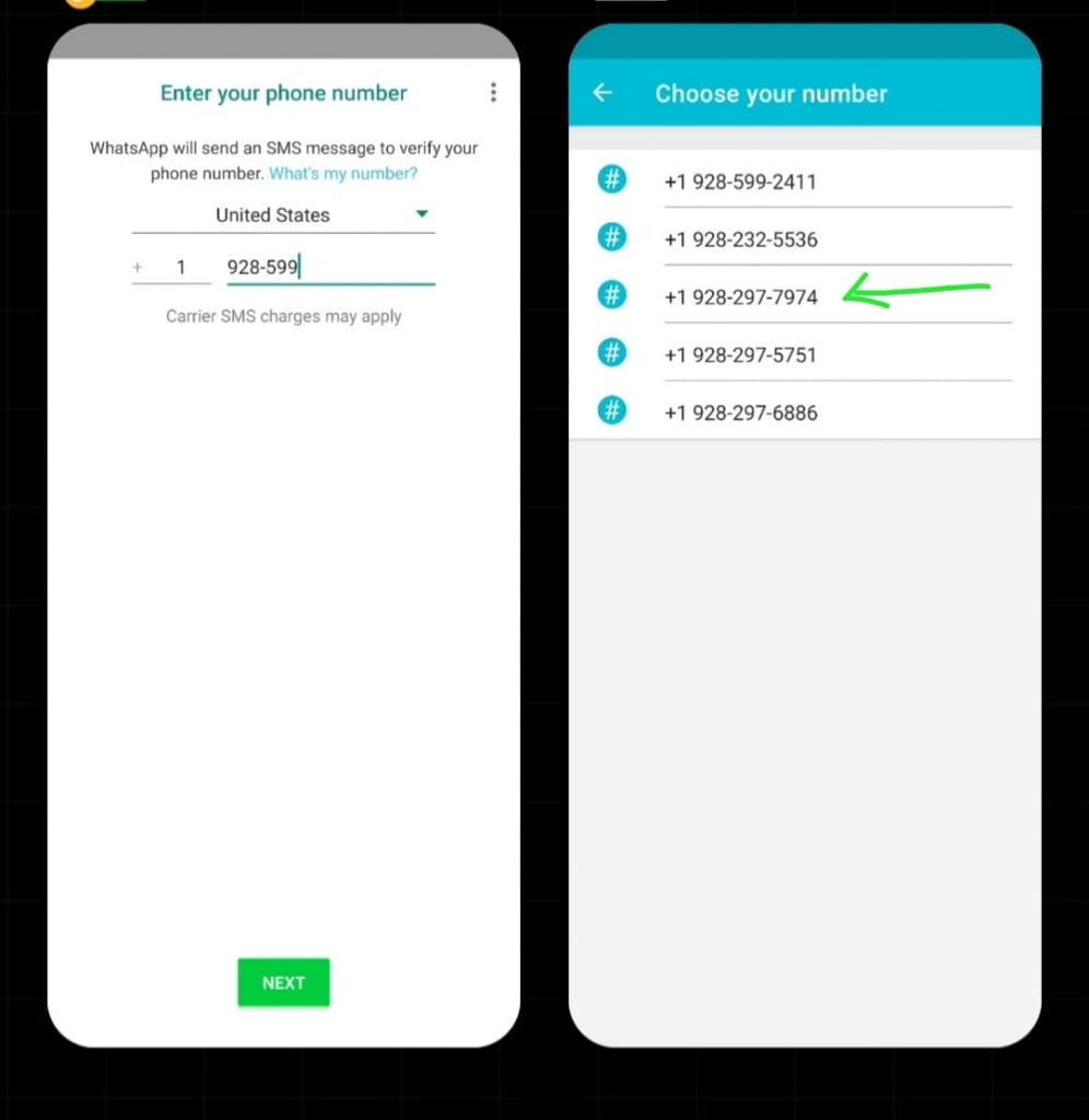 whatsapp fake number