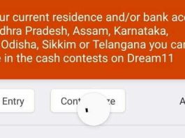 Dream11 Ban in Karnataka, Dream11, Dream 11, Dream11 Ban,